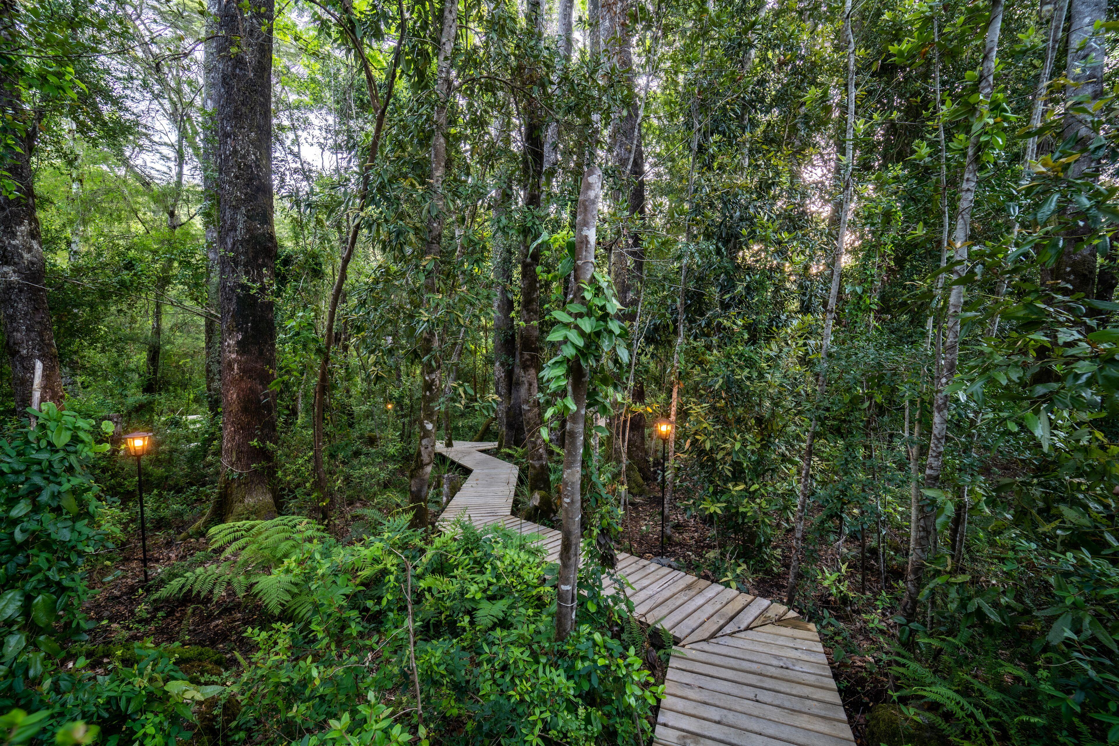ᐉ RAKAU LODGE ( CHILE ) FOTOS DE VIAJEROS Y OFERTAS EXCLUSIVAS